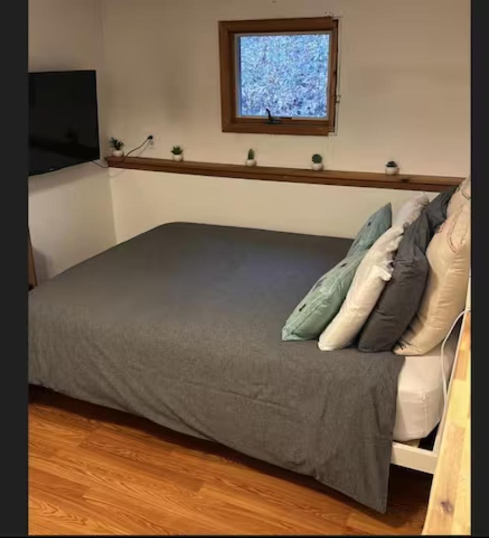 Breezy Hill Eccentric Studio Cottage Accord Esterno foto